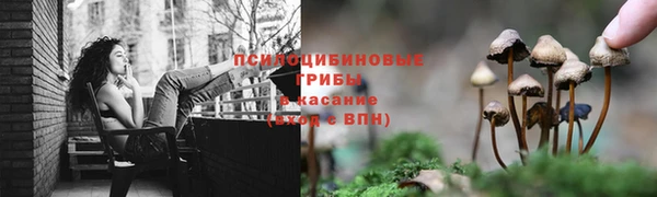 первитин Вяземский