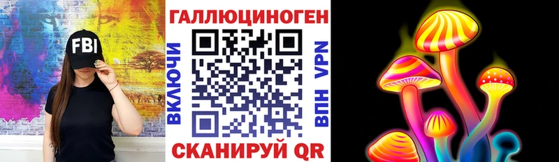 закладка  Макарьев  Псилоцибиновые грибы Psilocybe 